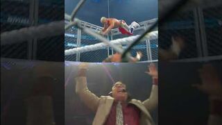 Michael Cole was going WILD for Cody Rhodes’ jump off the Steel Cage