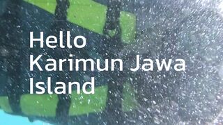 Hello Karimun Jawa Island.