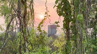 The image of nature through love for trees and wide skies…