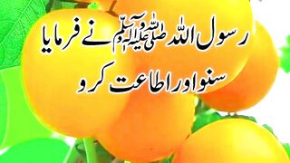 Hadees Mubarak 37