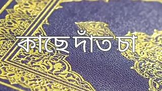 শির্ক সম্পর্কে গুরুত্বপূর্ণ আলোচনা