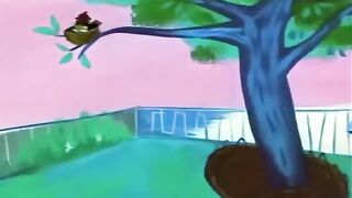 Tom and Jerry - The Egg and Jerry Cartoon