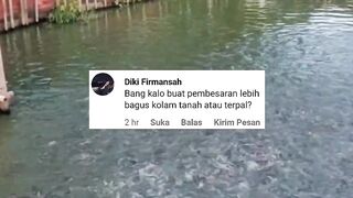 Kolam TANAH atau kolam TERPAL untuk pembesaran lele❗Kalian pilih mana❓