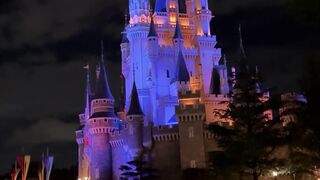 Disneyland palace night view