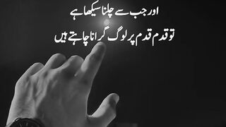 Very Beautiful True Line