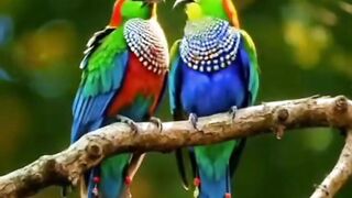 #naturephotography_#birds_#naturelovers_#nature_#viral_#trending_#reels