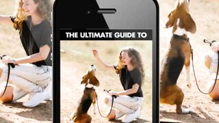 Ultimate Guide - Training Dogs and Cats