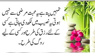 beautiful Urdu quotes //golden words //heart touching Urdu quotes 2