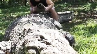 Henry Oldest Crocodile on Earth