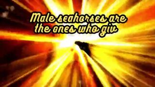 Animal Facts     Seahorses        #shorts