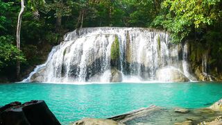 Fountain Lover at Forest