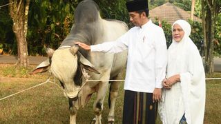 POPULAR LEADER JAKO WIDODO