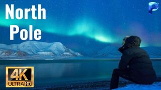 Epic Arctic Adventure: Journey to the Frozen North!