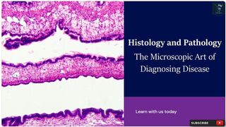 Histology and Pathology | The Microscopic Art of Diagnosing Disease