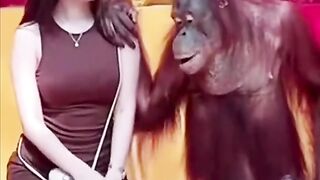 This monkey is very lucky to get a beautiful woman!