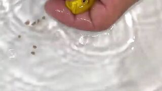 Fish Gives Birth