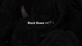 Black rose