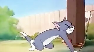 Tom _ Jerry থেকেও Trigonometry ???????? _shorts _maths _funny(360P).