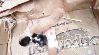 bebek yavru .#video #baby