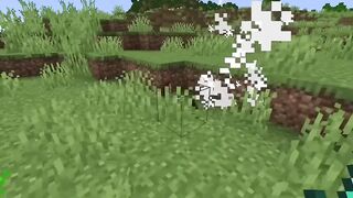 Epic Buffs to Witch Drops in Minecraft 1.20.5!