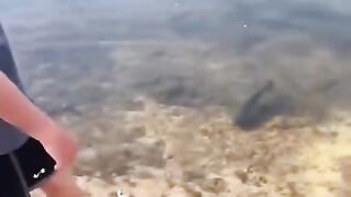 fish shocked me  #reels #music #trending #viralvideo #bollywood