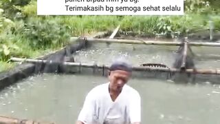 Berapa Mili ukuran lubang BAK SORTIR untuk segmen pembesaran ikan lele