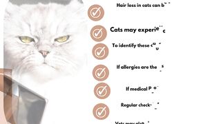 Top Causes of Hair Loss in Cats and How to Address Them 2