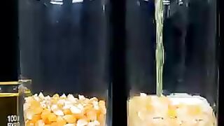 1000°C_RHCB_vs_Corn___Oil_and_Corn___RedBull___Satisfying_science_experiment