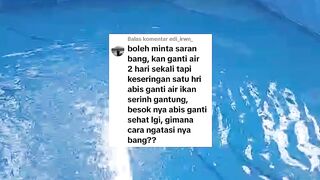 Jangan terlalu kerap melakukan pergantian air kolam❗Begini akibatnya