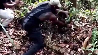 Big snake ???? in forest