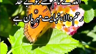 Surah Ikhlas full with Urdu Translation