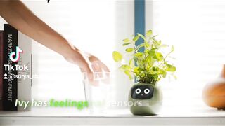 Smart Planter with 7 smart sensors and AI Magic !