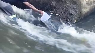 A good way to catch fish