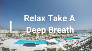 Relaxing Sleep Music • Deep Sleeping Music, Relaxing Music, Stress Relief, Meditation Music 2