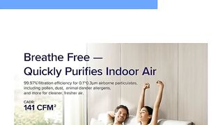 LEVOIT Air Purifier Review: Does It ACTUALLY Work for Allergies?