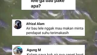 Cara mengatasi air kolam BAU