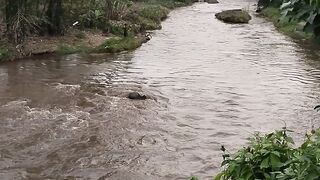 Sungei mengaji mulai banjir