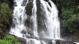 Srilankan Natural  Waterfall