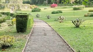 Peradeniya Botanical Garden