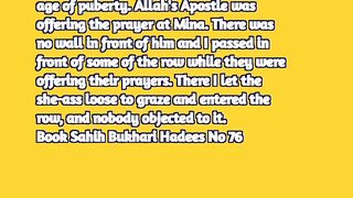 Hadith in English 12