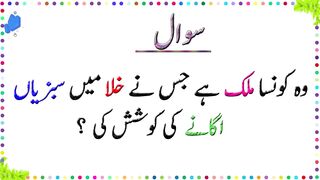 urdu education