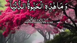 Quran al Karim ayat...# virals #shortsb#islamicvideos