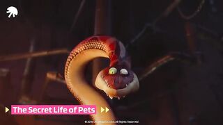 The secret life of pets 2