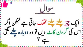 urdu sawal.