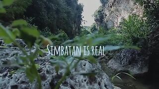 river under the cliffs of a ravine in the forest on the mountain slopes