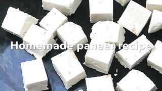 Homemade Paneer Recipe Cottage Cheese Recipe