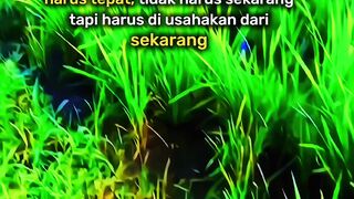 Motivasi harian