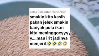 Semakin kita kasih pakan JELEK semakin banyak ikan lele yang MATI❗BENAR atau TIDAK❓