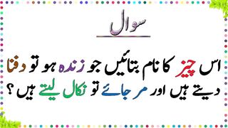 urdu sawal 1