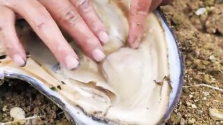 Girl Discovers Rare and Valuable Oversized Pearl Inside Giant Clam